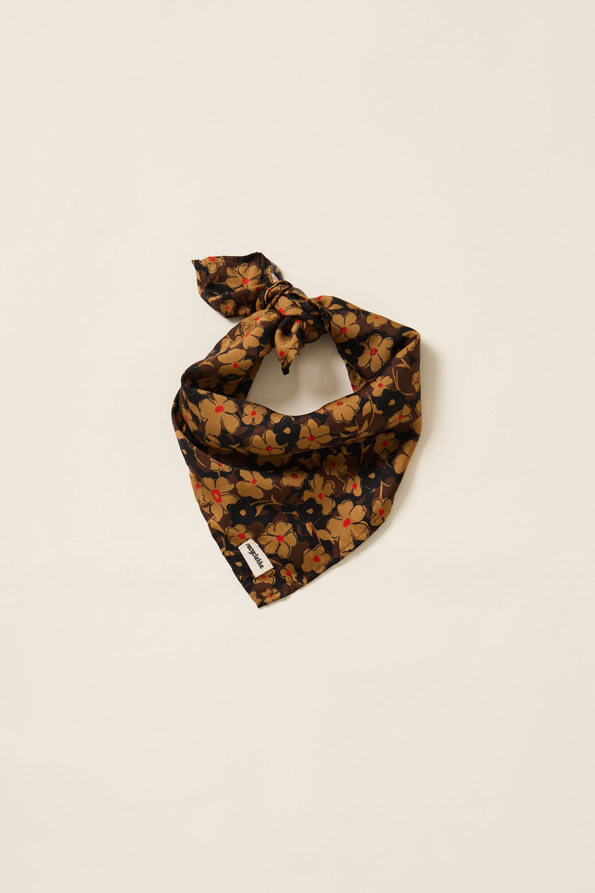 Un aplat du foulard rétro Recyclette.